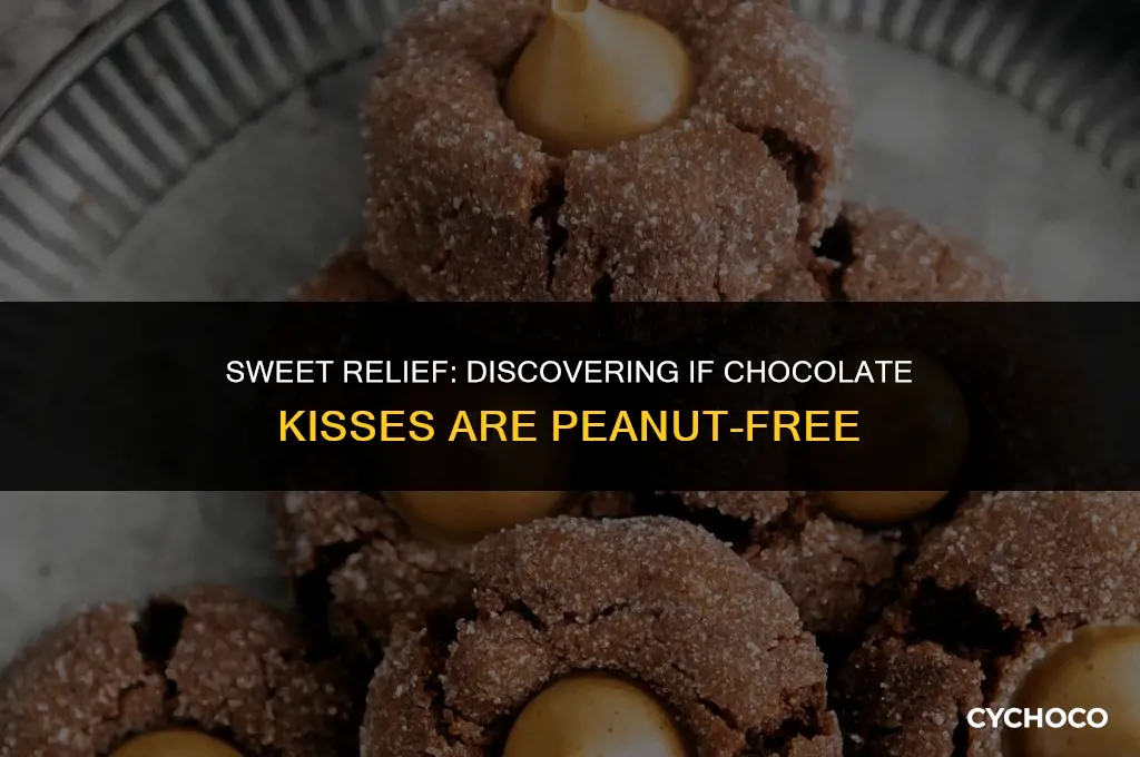 are chocolate kisses peanut free