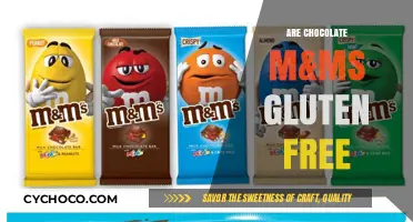 Delving into the World of Chocolate M&Ms: A Gluten-Free Treat?