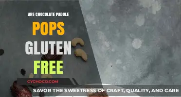 Delicious Chocolate Paddle Pops: A Gluten-Free Treat for All!