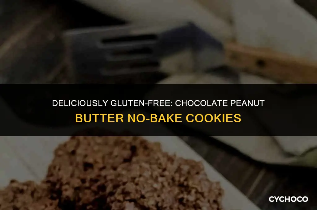 are chocolate peanut butter no bake cookies gluten free