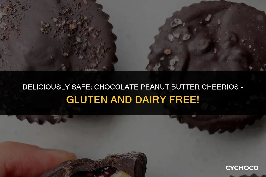 are chocolate peanut buttwr cheerios gluten free dairy free