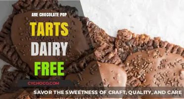 Delving into Desserts: Are Chocolate Pop-Tarts Dairy-Free?