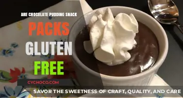 Deliciously Gluten-Free: Chocolate Pudding Snack Packs Unveiled