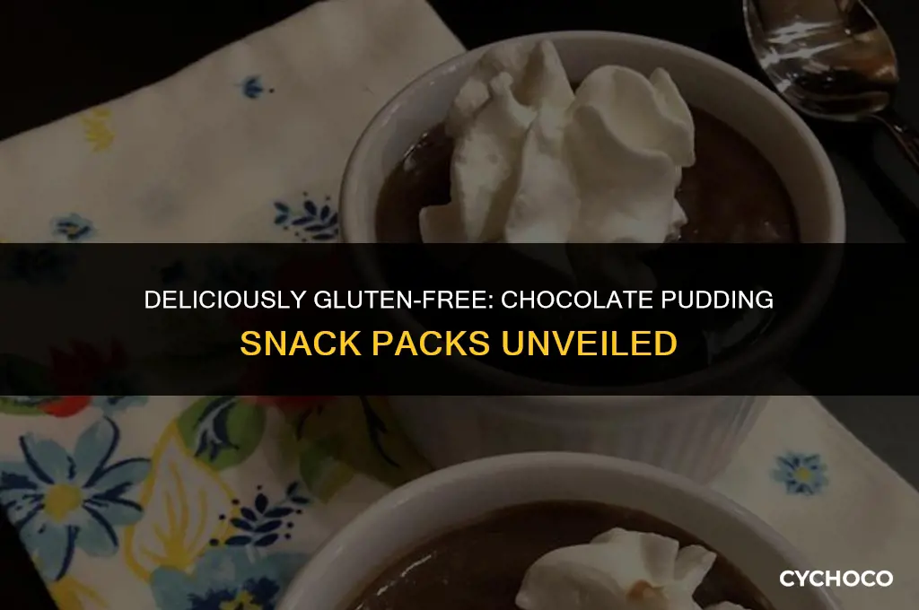are chocolate pudding snack packs gluten free