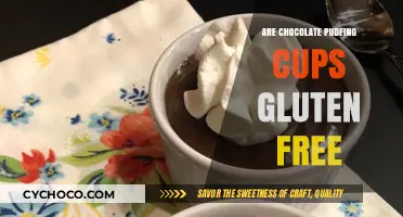 Deliciously Safe: Are Chocolate Pudding Cups Gluten-Free?