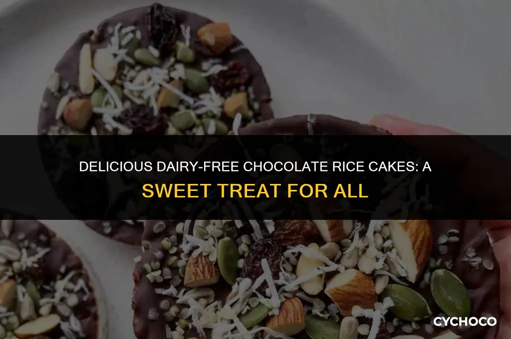 are chocolate rice cakes dairy free