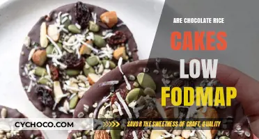 Delving into Digestive Health: Are Chocolate Rice Cakes Low FODMAP?