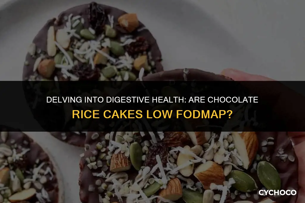 are chocolate rice cakes low fodmap