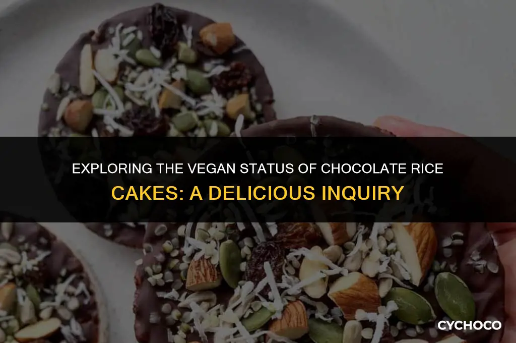 are chocolate rice cakes vegan