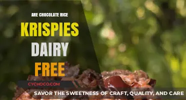 Deliciously Dairy-Free: Chocolate Rice Krispies Treats Unveiled