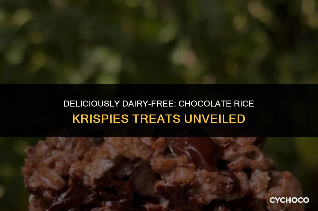 are chocolate rice krispies dairy free