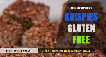 Are Chocolate Rice Krispies Gluten-Free? A Sweet Snack Fact Check