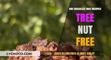 Deliciously Safe: Are Chocolate Rice Krispies Treats Tree Nut-Free?