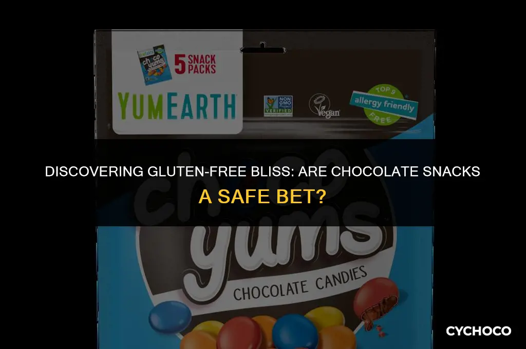 are chocolate snack a jacks gluten free