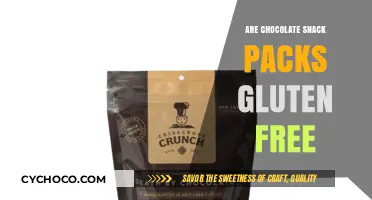 Delving into Deliciousness: Are Chocolate Snack Packs Gluten-Free?