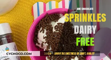 Delicious Discoveries: Are Chocolate Sprinkles Dairy-Free?