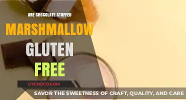 Deliciously Safe Treats: Are Chocolate Stuffed Marshmallows Gluten-Free?