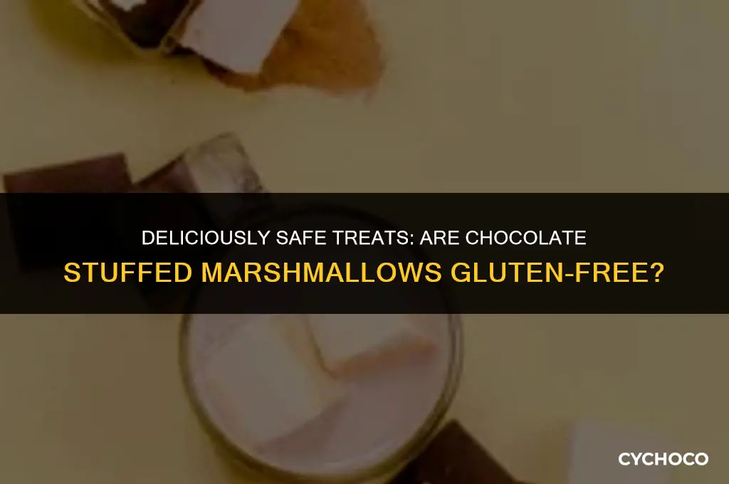 are chocolate stuffed marshmallows gluten free