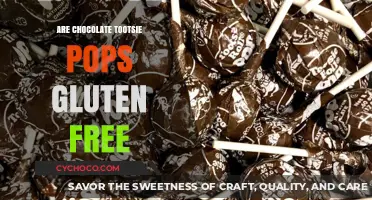 Delving into Sweet Treats: Are Chocolate Tootsie Pops Gluten-Free?