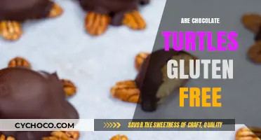 Are Chocolate Turtles Gluten-Free? A Sweet Treat Guide