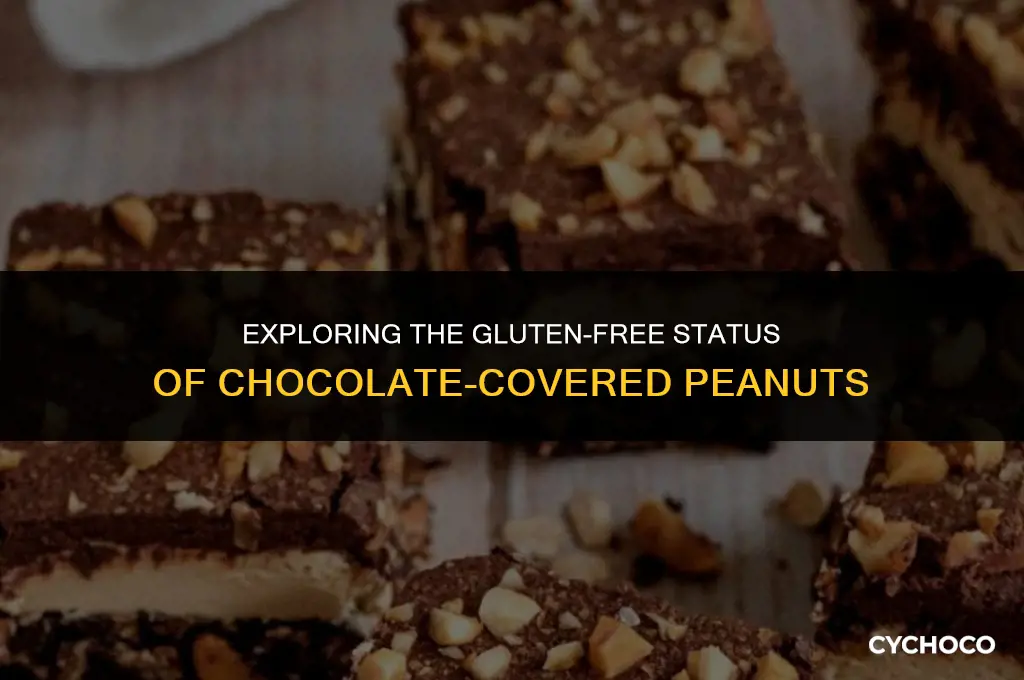 are chocolate vovered peanuts glutin free