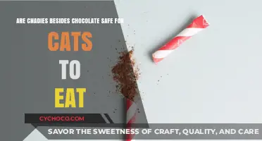 Exploring the Safety of Non-Chocolate Candies for Feline Friends