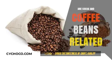 Exploring the Intriguing Connection Between Cocoa and Coffee Beans
