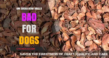 Cocoa Bean Shells: A Hidden Danger for Our Canine Companions?
