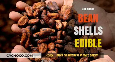 Exploring the Edibility of Cocoa Bean Shells: A Delicious Possibility?