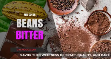 Unveiling the Truth: Are Cocoa Beans Bitter?
