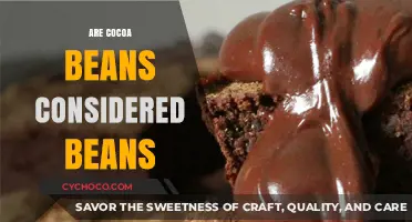 Unraveling the Mystery: Are Cocoa Beans Truly Beans?