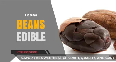 Exploring the Edibility of Cocoa Beans: A Delicious Discovery