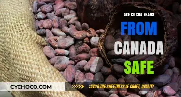 Exploring the Safety of Canadian Cocoa Beans: A Comprehensive Guide