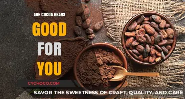 Exploring the Surprising Health Benefits of Cocoa Beans