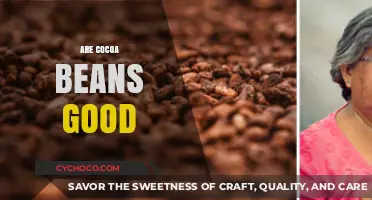 Exploring the Surprising Health Benefits of Cocoa Beans