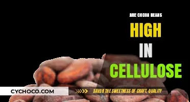 Exploring the Cellulose Content in Cocoa Beans: A Nutritional Insight