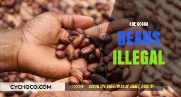 Unveiling the Truth: Are Cocoa Beans Illegal?