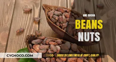 Unveiling the Truth: Cocoa Beans vs. Nuts in Chocolate Making