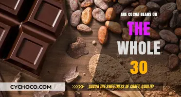 Exploring the Nutritional Benefits of Cocoa Beans on the Whole30 Diet