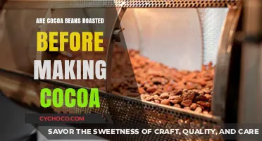 The Roasting Revelation: Unveiling the Truth About Cocoa Beans