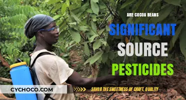 Unveiling the Pesticide Presence in Cocoa Beans: A Health Perspective