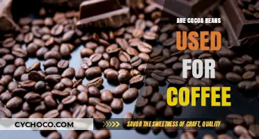 Exploring the Rich World of Cocoa Beans and Coffee