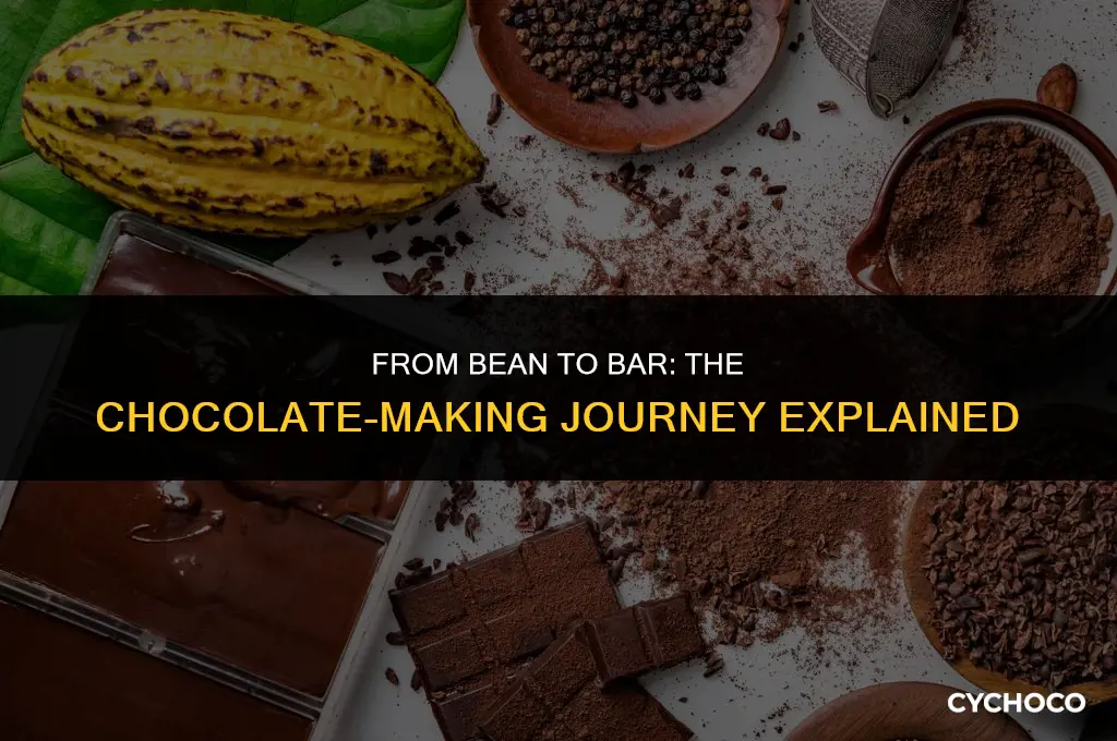 are cocoa beans used to make chocolate