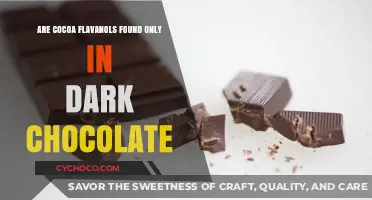 Exploring Cocoa Flavanols: Dark Chocolate's Unique Nutrient Profile