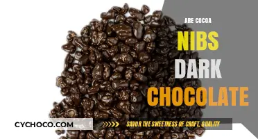 Exploring the Rich World of Cocoa Nibs and Dark Chocolate