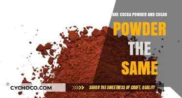 Unveiling the Truth: Cocoa Powder vs. Cacao Powder Explained