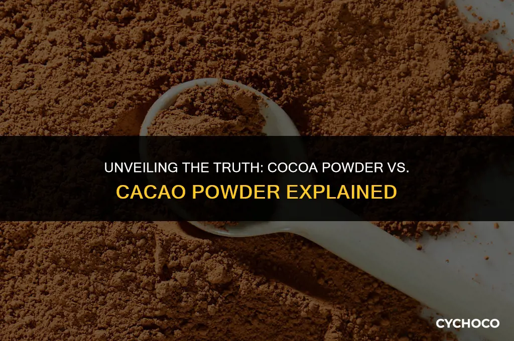are cocoa powder and cocao powder the same