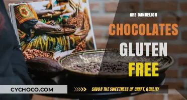 Delightful Dandelion Chocolates: A Gluten-Free Treat for All