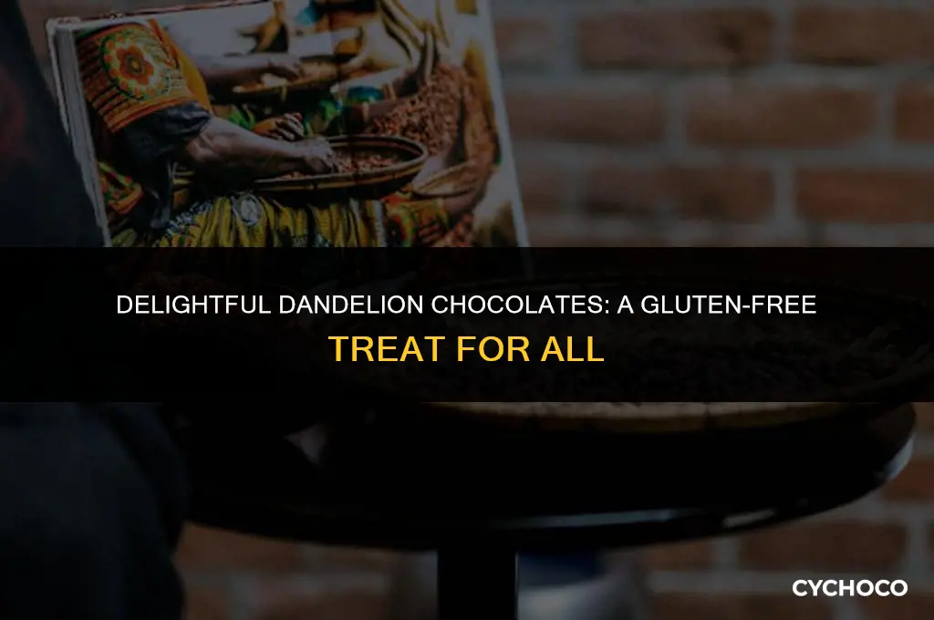 are dandelion chocolates gluten free