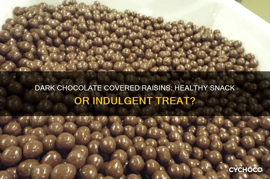 are dark chocolate covered raisins good for you
